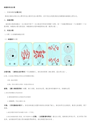细胞有丝分裂过程