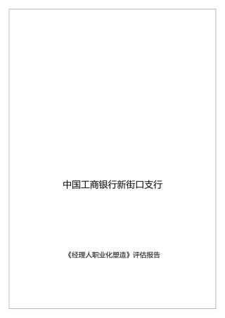 经理人职业化塑造评估方案报告