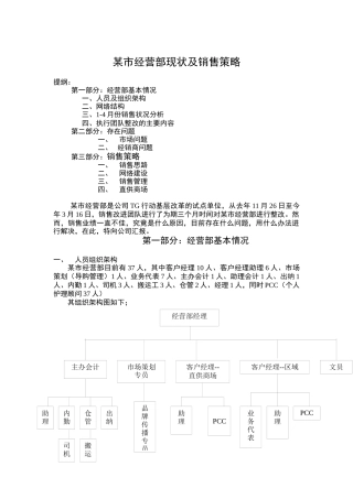 经营部现状及销售策略