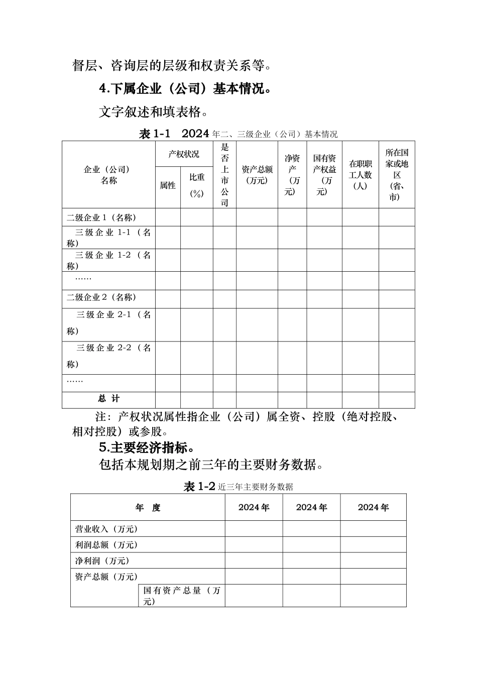 绵阳市市属企业发展战略与规划编制_第2页