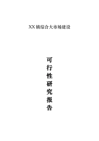 综合大市场建设项目可行性实施计划书