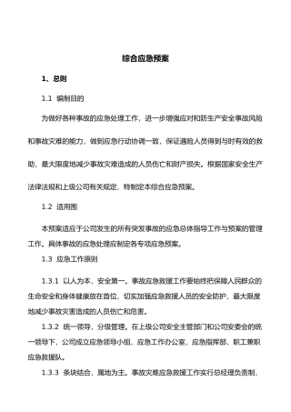 综合应急处置预案77206