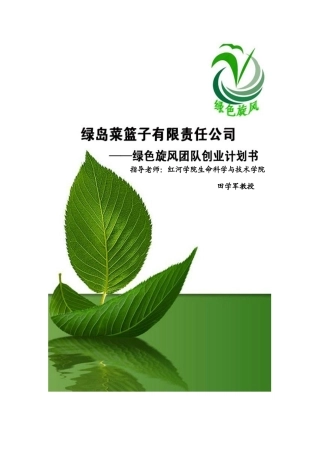 绿岛菜篮子有限责任公司创业计划