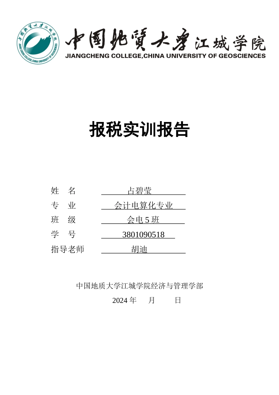 网上报税实训报告_第1页