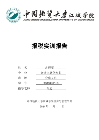 网上报税实训报告