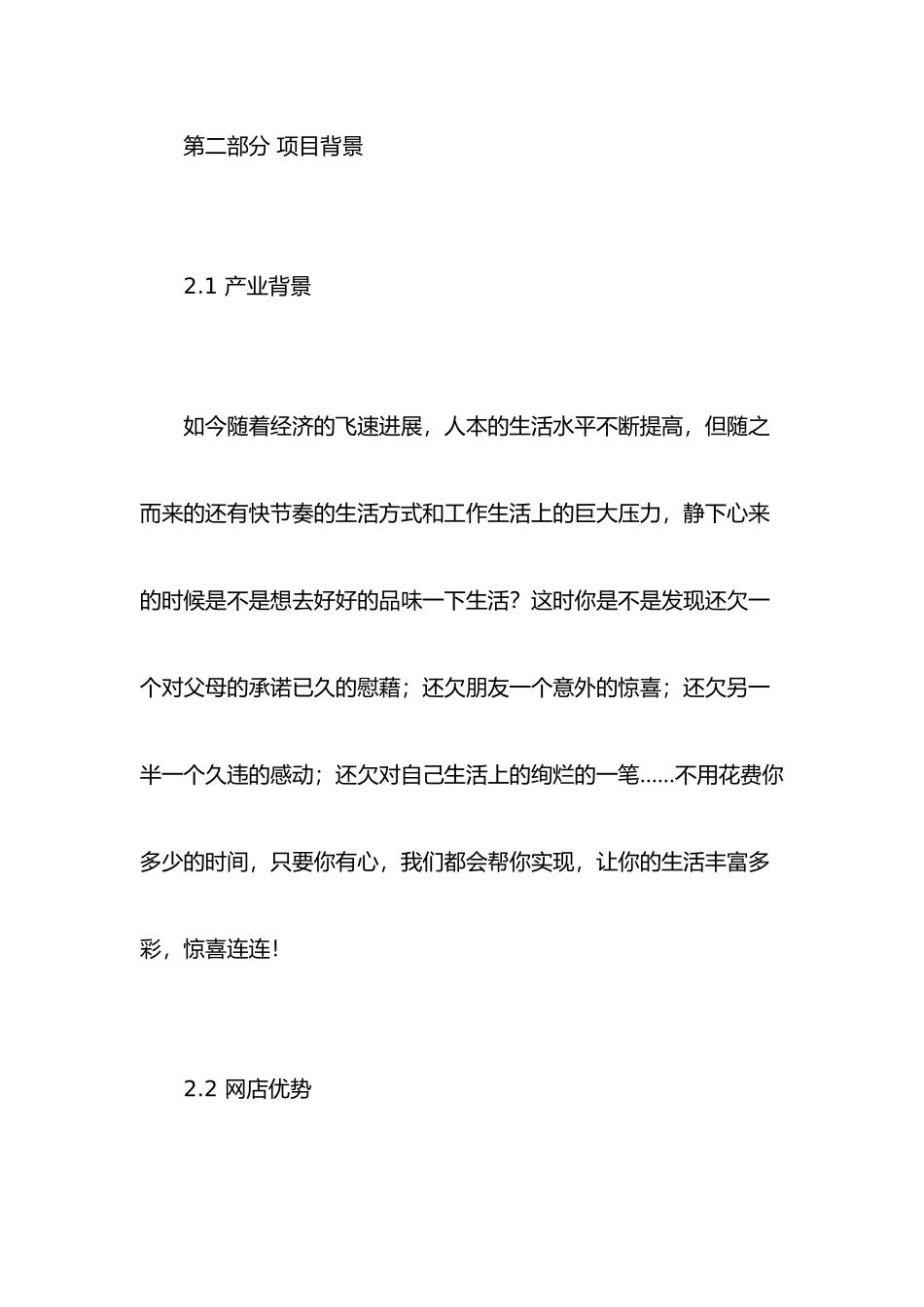 网店创业项目计划书模板_第2页