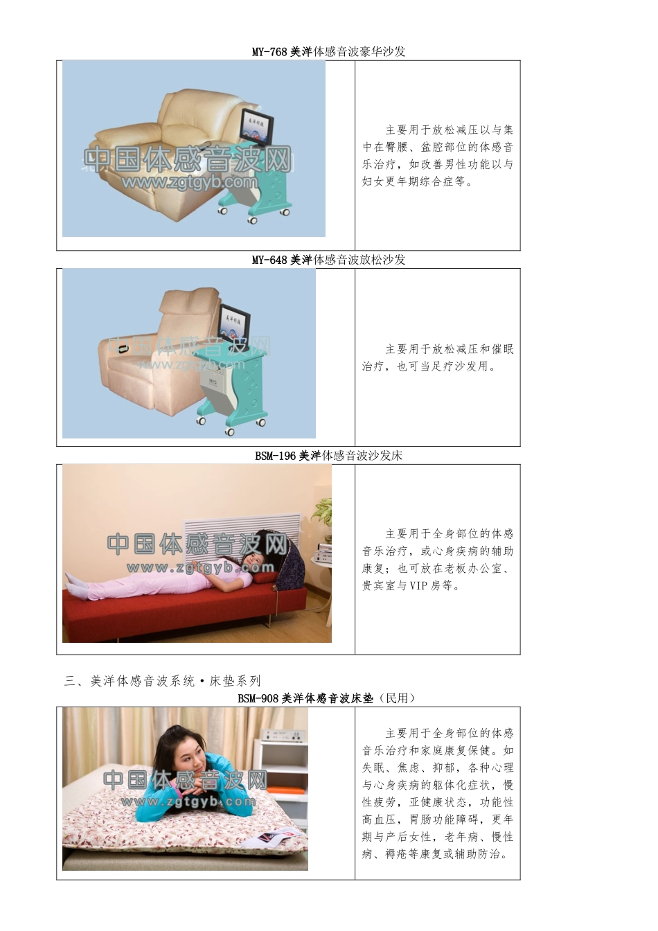 美洋体感音波系统的介绍_第3页