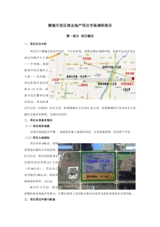聊城开发区项目调研报告