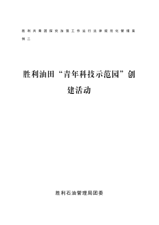 胜利共青团探索加强工作运行规范化管理案例二…………胜利油田“青年