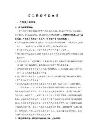 芬兰投资项目介绍
