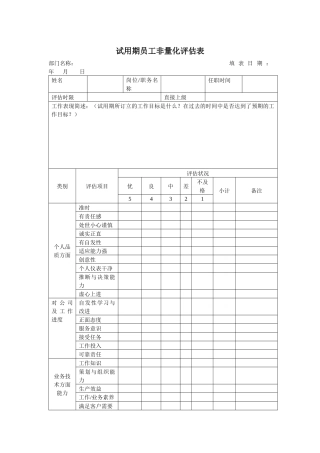 试用期员工非量化评估表