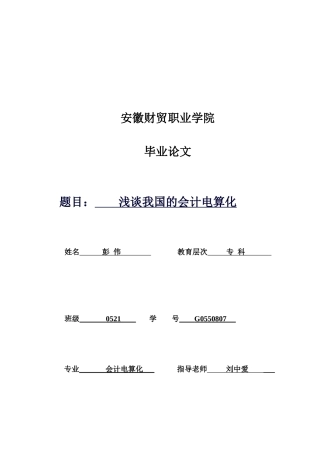 试论我国的会计电算化