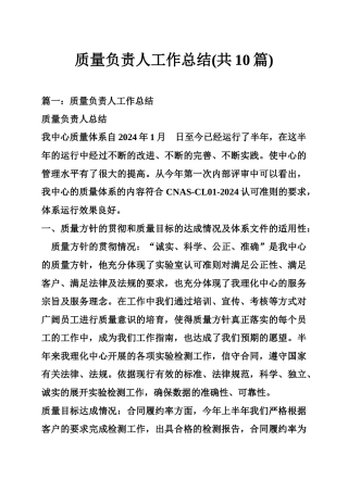 质量负责人工作总结