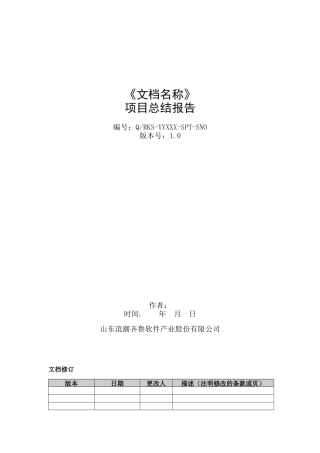 软件项目总结报告