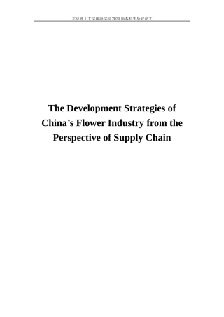 The Development Strategies of China's英语