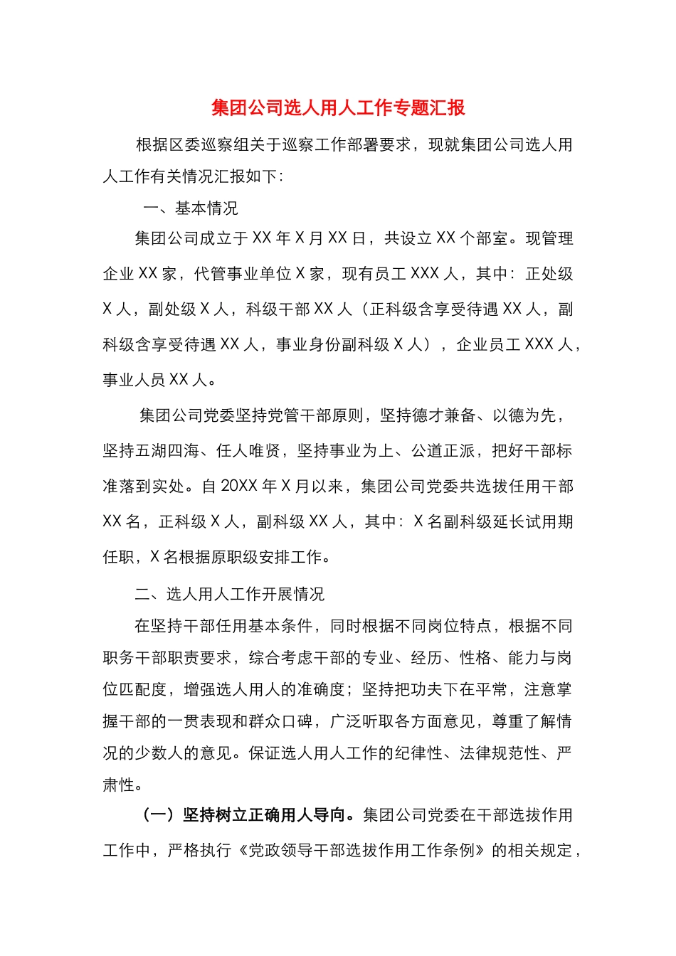 选人用人专项报告_第1页