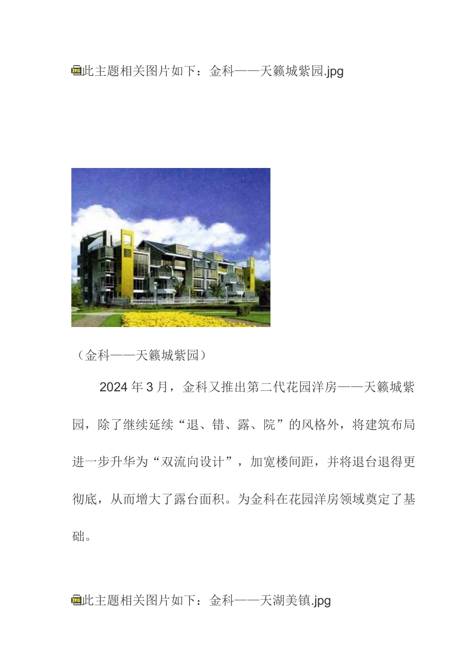重庆花园洋房市调报告_第3页