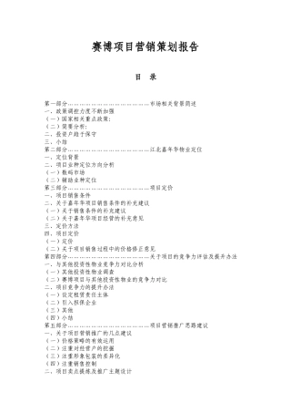重庆赛博项目营销策划报告