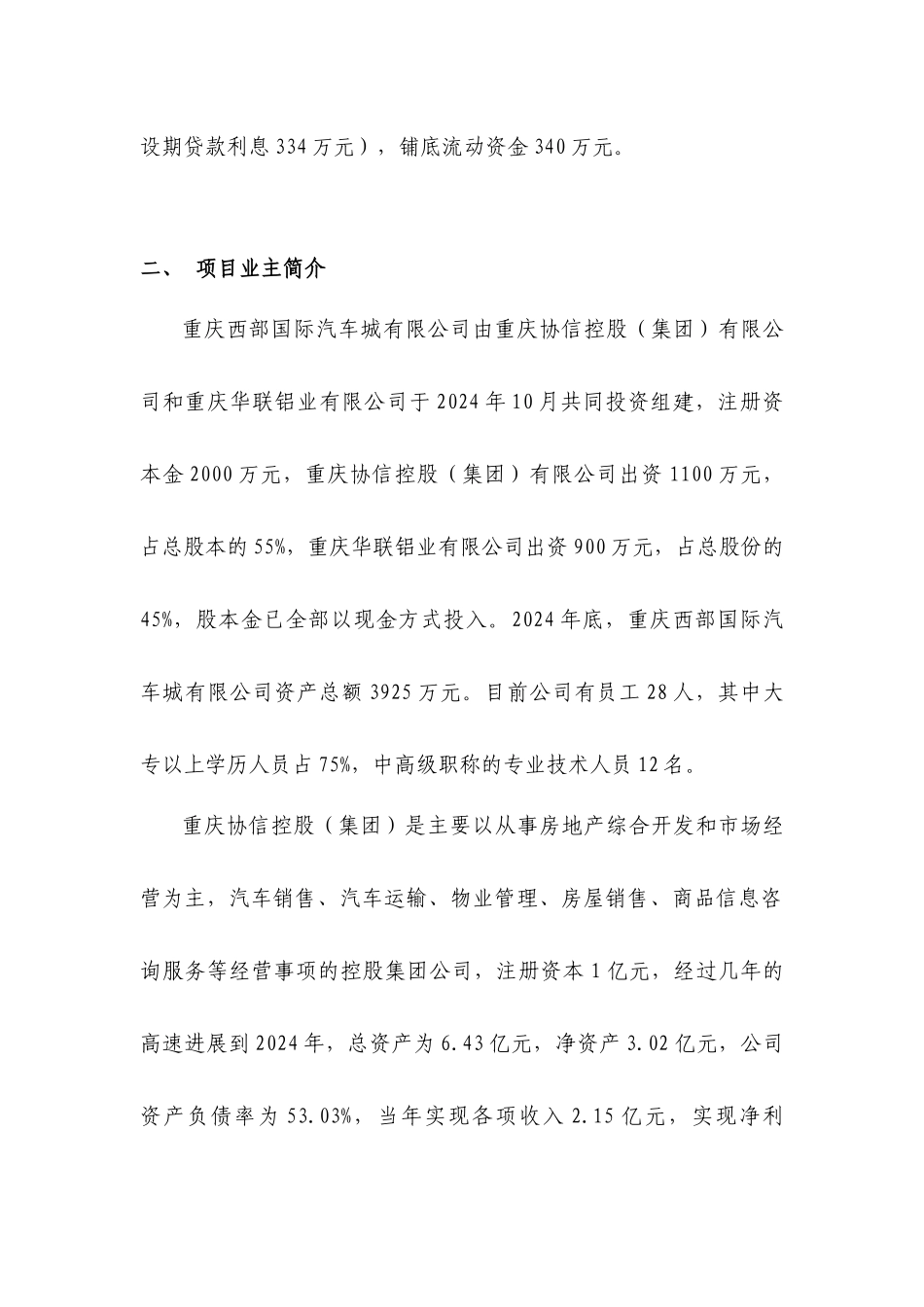 重庆西部国际汽车城可行性研究报告_第2页