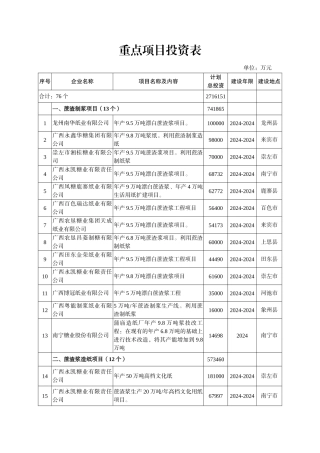 重点项目投资表
