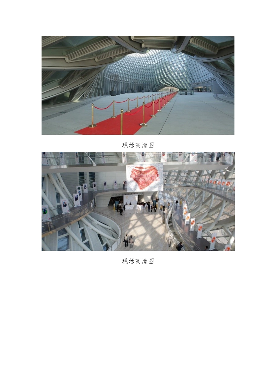 金凤凰XXXX全球华人地产峰会_第2页