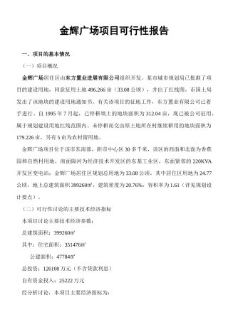 金辉广场项目可行性研究报告