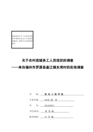 针对农村进城务工人员现状的调查