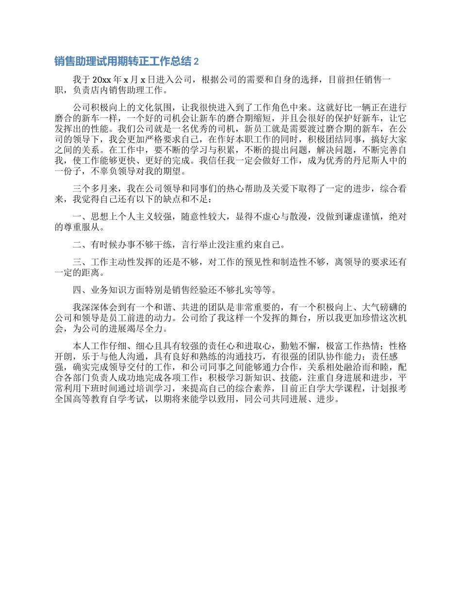 销售助理试用期转正工作总结_第2页