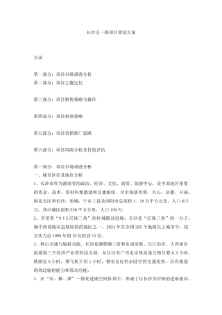长沙五一路项目策划方案