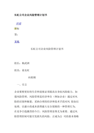 长虹风险管理计划书
