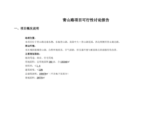 青山路项目可行性研究报告