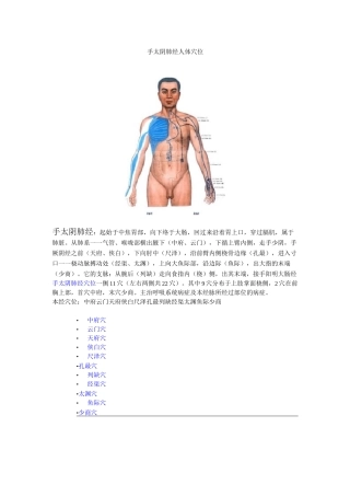 手太阴肺经 穴位