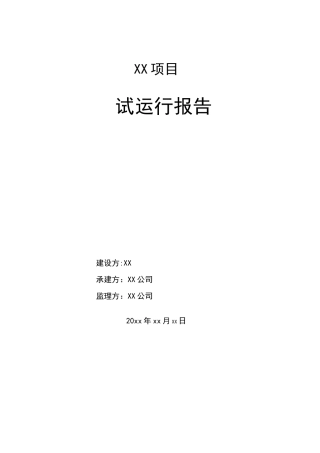 XX项目试运行报告