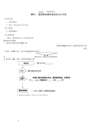 基因的表达一轮复习导学案