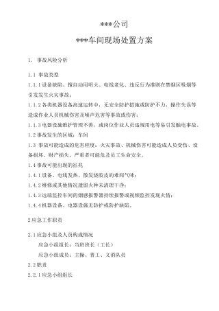 现场处置方案(模板)