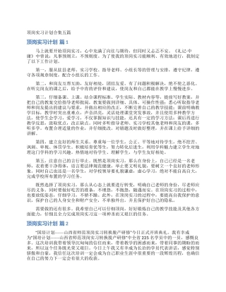 顶岗实习计划合集五篇