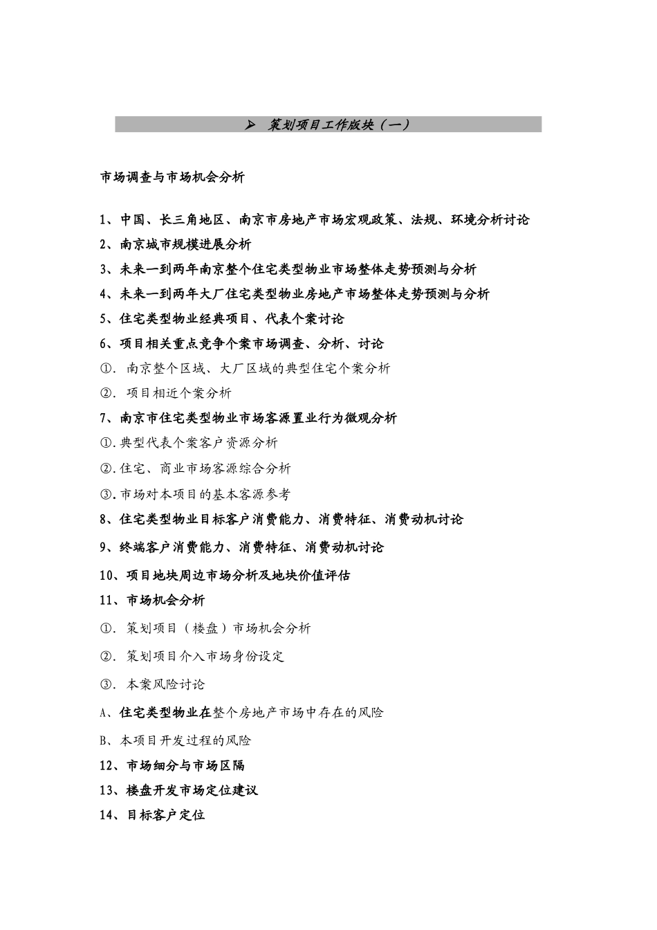 项目代理策略综合大纲_第2页