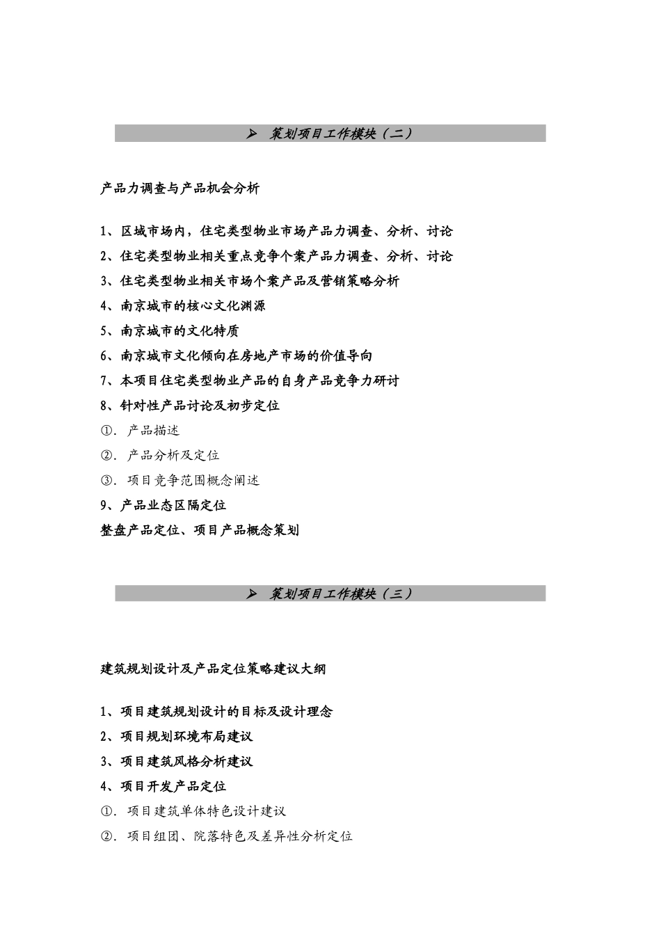 项目代理策略综合大纲_第3页