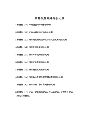 项目代理策略综合大纲