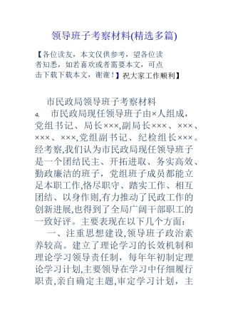 领导班子考察材料