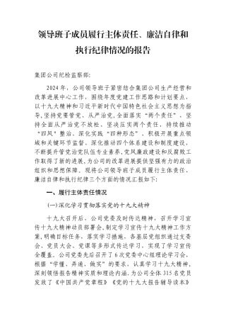 领导班子成员履行主体责任、廉洁自律和执行纪律情况的报告