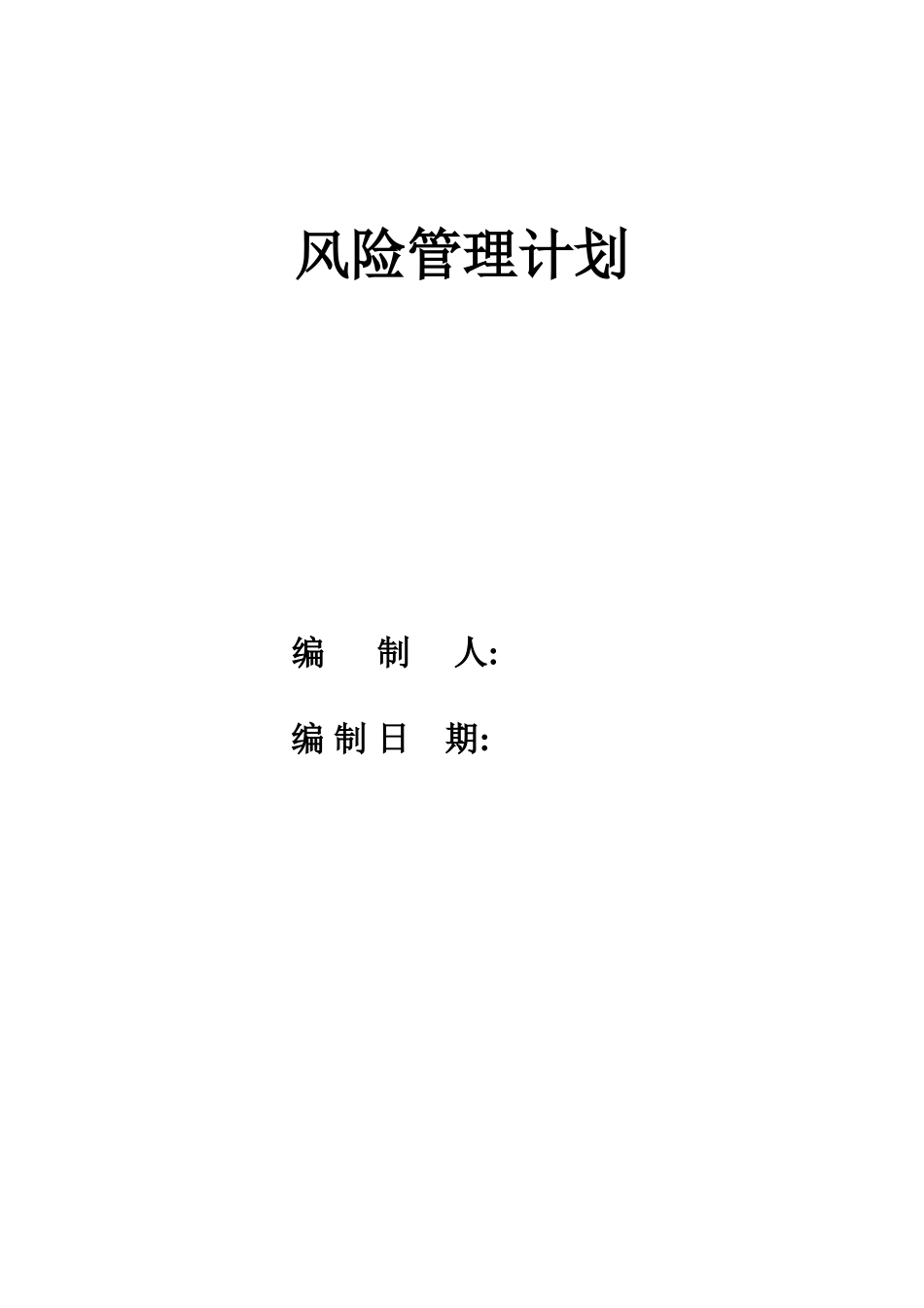 风险管理报告模板-医疗器械_第2页