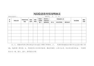 风险隐患排查情况明细表-格式