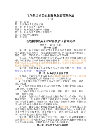 飞尚集团成员企业财务总监管理办法