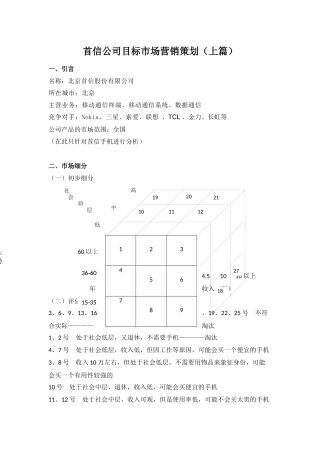 首信公司目标市场营销策划