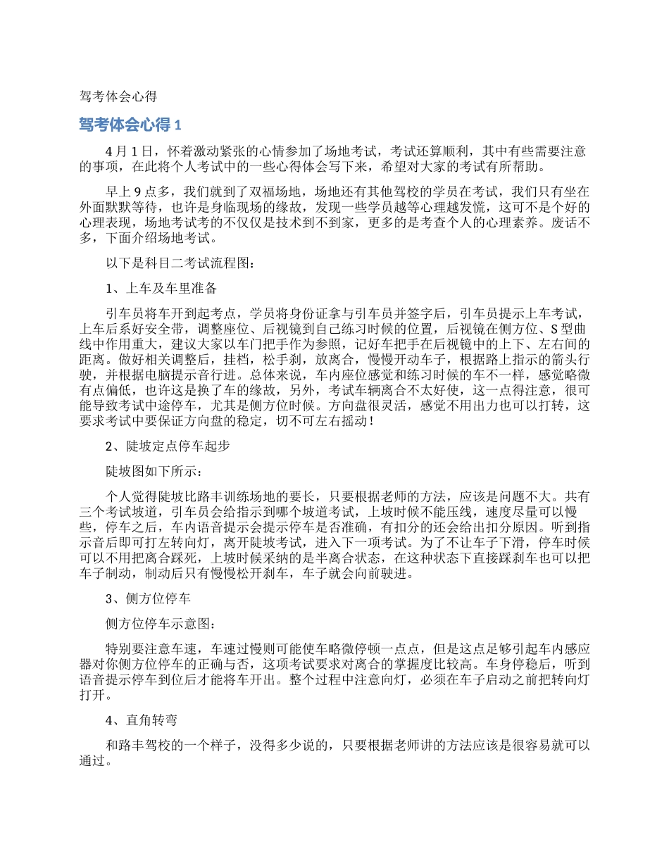 驾考体会心得_第1页