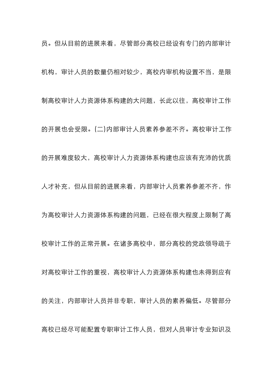 高校审计人力资源体系研究_第3页