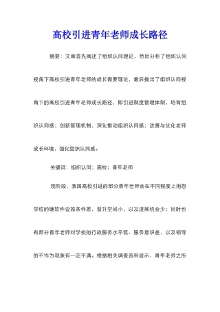 高校引进青年教师成长路径
