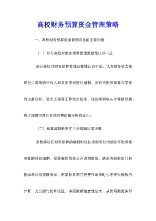 高校财务预算资金管理策略
