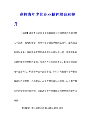 高校青年教师职业精神培养和提升